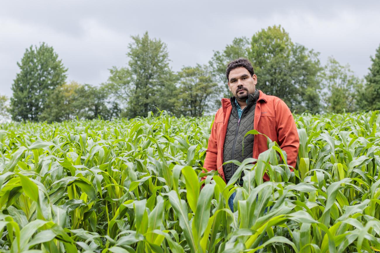 Carlos in sorghum