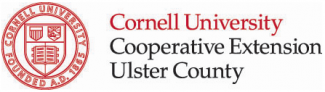 CCE Ulster Logo