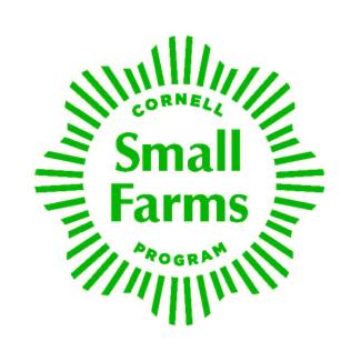 CSF Logo